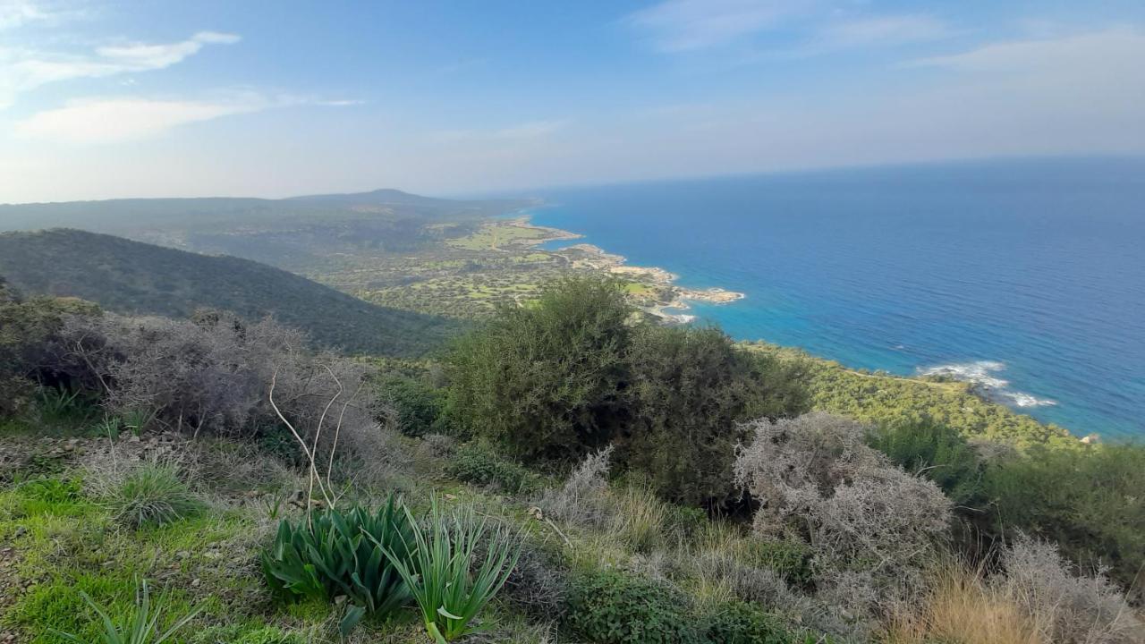 Eva Gardens Corner House With Stunning Garden And Huge Swimming Pool Next To Coral Bay Villa Peyia Exterior photo